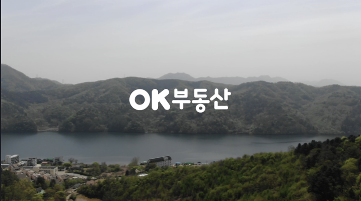 경기 가평군 가평읍 금대리 북한강 줄기와 가까운 가평임야 매매 매매 매물번호 17167 사진 7