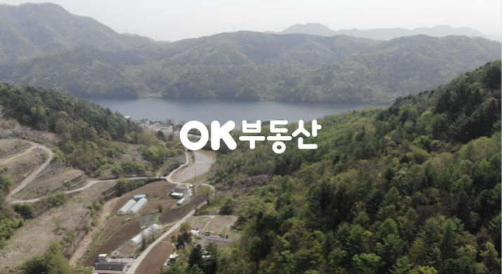 경기 가평군 가평읍 금대리 북한강 줄기와 가까운 가평임야 매매 매매 매물번호 17167 사진 8