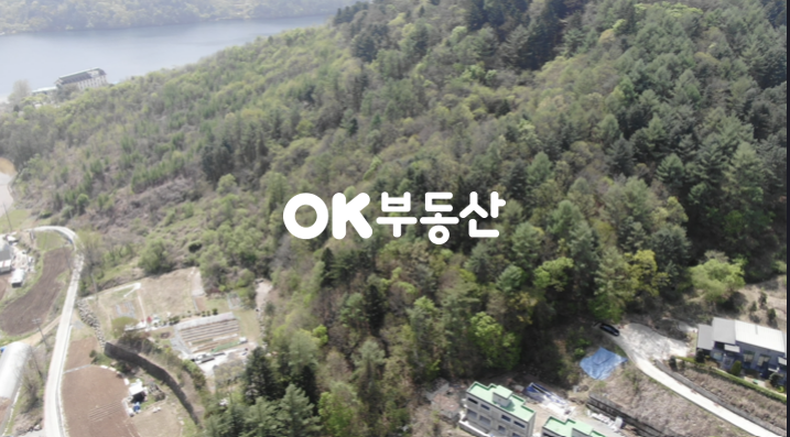 경기 가평군 가평읍 금대리 북한강 줄기와 가까운 가평임야 매매 매매 매물번호 17167 사진 9