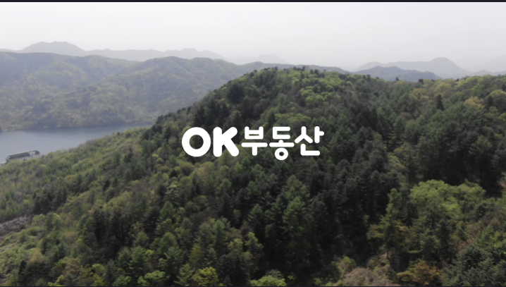 경기 가평군 가평읍 금대리 북한강 줄기와 가까운 가평임야 매매 매매 매물번호 17167 사진 10