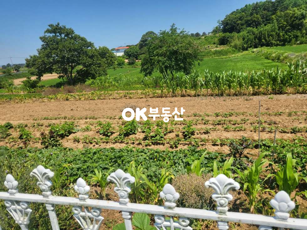 충남 서산시 부석면 칠전리 서산전원주택매매 신축전원주택매매 충남전원주택매매 3억대전원주택매매 매매 매물번호 17182 사진 27