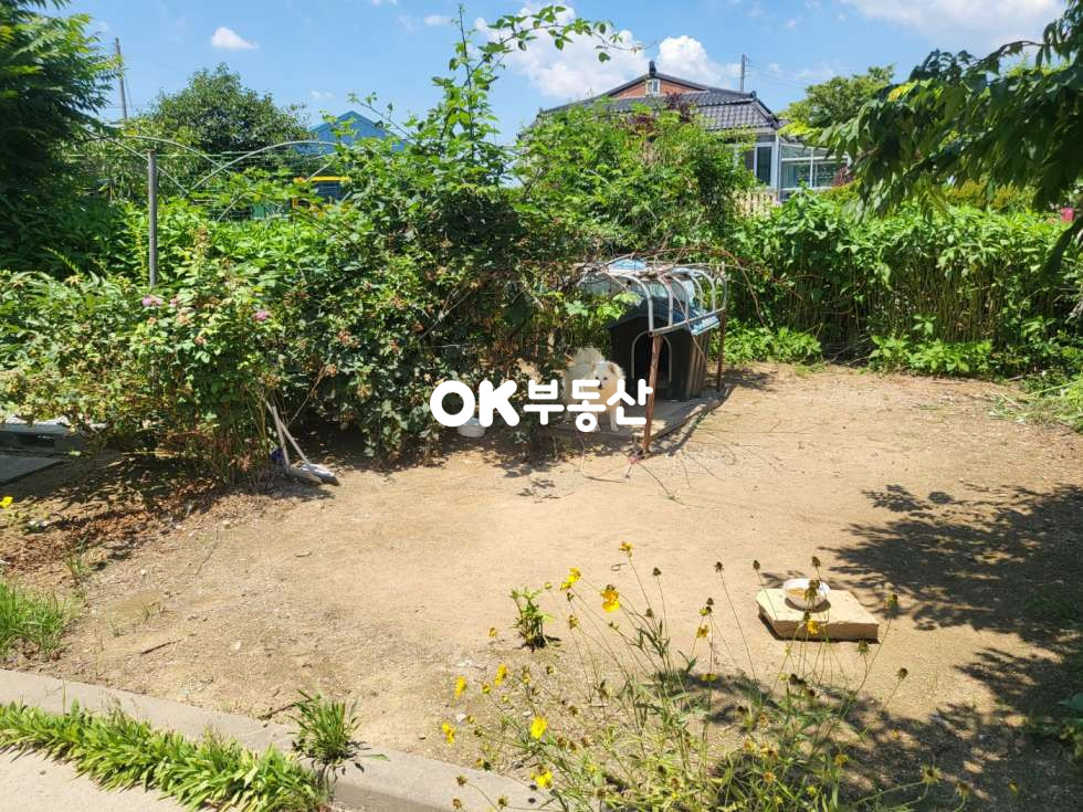 충남 서산시 양대동 서산전원주택매매 충남전원주택매매 2억대전원주택매매 매매 매물번호 17184 사진 9