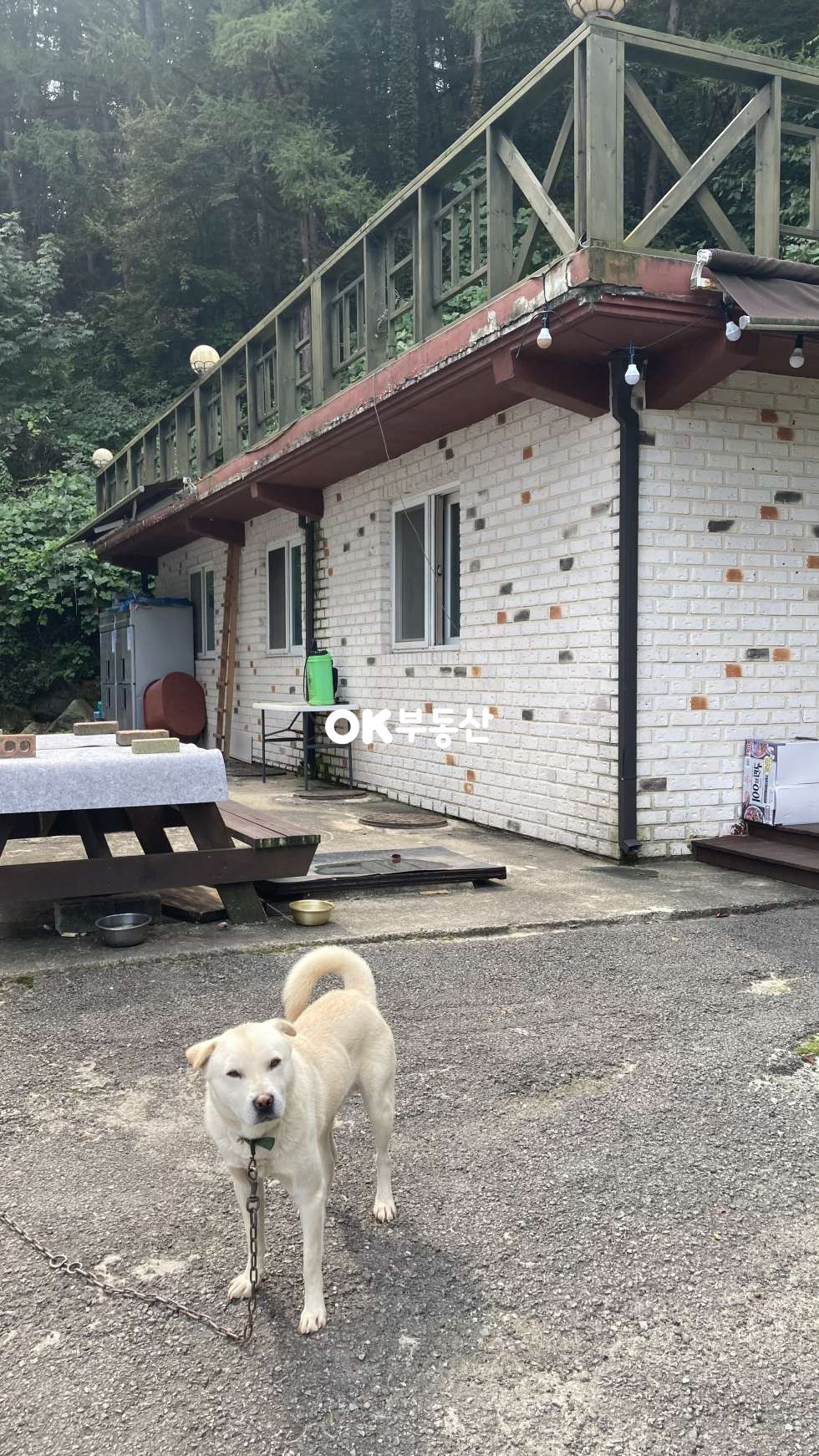 충남 천안동남구 광덕면 광덕리 숙박시설매매 모텔매매 호텔매매 수련원매매 매매 매물번호 17246 사진 5