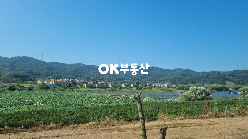 충남 아산시 영인면 성내리 아산 농막 넓은 대지위의 컨테이너 하우스와 예쁜 정원과 텃밭 매매 매물번호 17242 사진 19