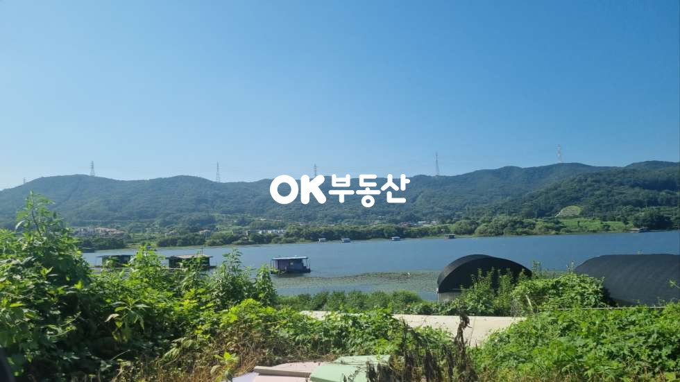충남 아산시 영인면 성내리 아산 농막 넓은 대지위의 컨테이너 하우스와 예쁜 정원과 텃밭 매매 매물번호 17242 사진 20
