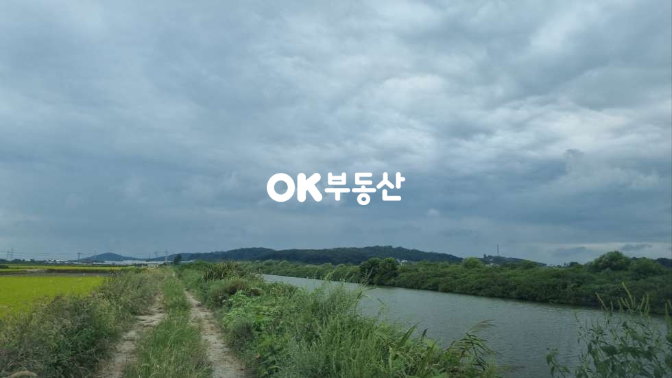 충남 아산시 둔포면 시포리 비옥한 농지 아산맑은쌀은 원산지 대토용토지적합 매매 매물번호 17258 사진 2