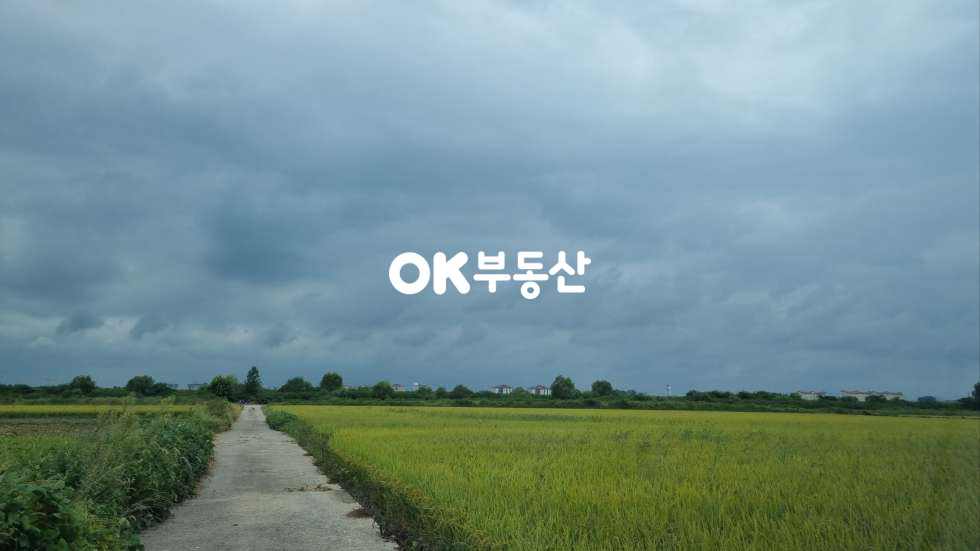 충남 아산시 둔포면 시포리 비옥한 농지 아산맑은쌀은 원산지 대토용토지적합 매매 매물번호 17258 사진 3