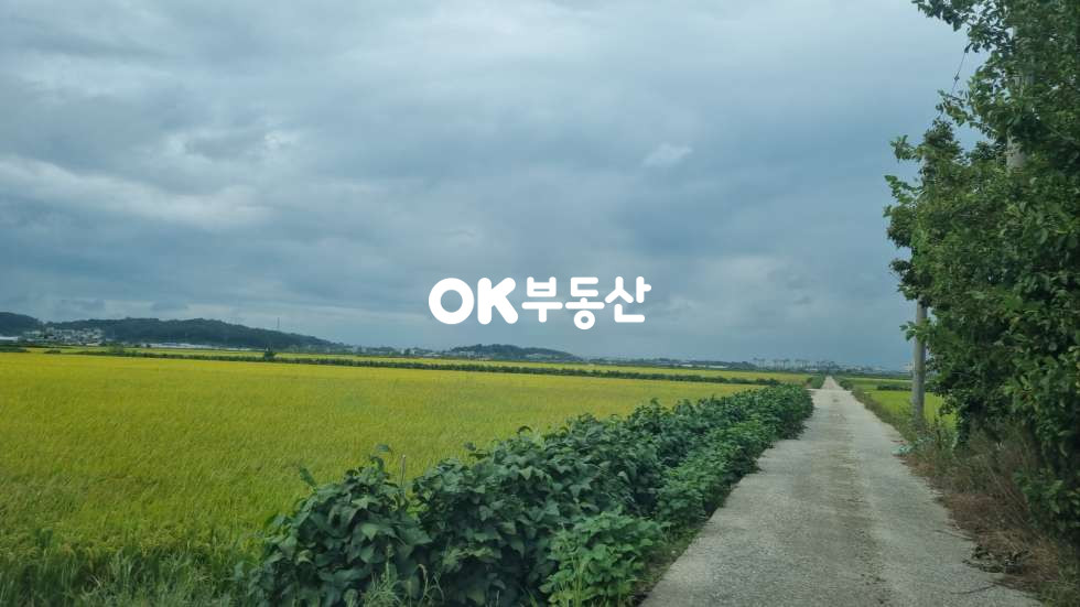 충남 아산시 둔포면 시포리 비옥한 농지 아산맑은쌀은 원산지 대토용토지적합 매매 매물번호 17258 사진 5