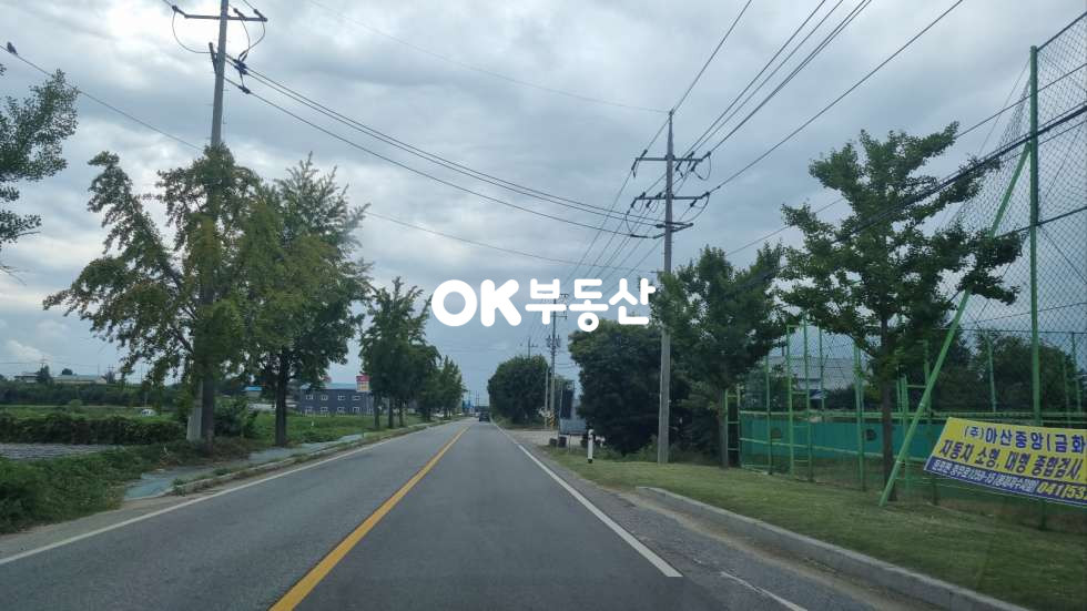 충남 아산시 둔포면 시포리 비옥한 농지 아산맑은쌀은 원산지 대토용토지적합 매매 매물번호 17258 사진 6