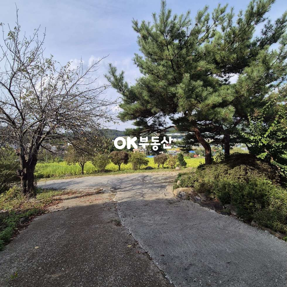 충남 아산시 음봉면 송촌리 아산주택매매 음봉전원주택 824평 평당90만원 매매 매물번호 17298 사진 7