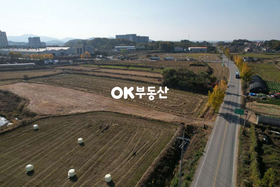 충남 아산시 영인면 창용리 아산만쌀조개섬.2차선도로접.성토완료토지 매매 매물번호 17257 사진 1