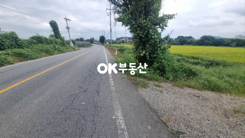 충남 아산시 영인면 창용리 아산만쌀조개섬.2차선도로접.성토완료토지 매매 매물번호 17257 사진 6