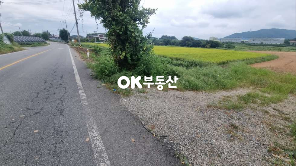 충남 아산시 영인면 창용리 아산만쌀조개섬.2차선도로접.성토완료토지 매매 매물번호 17257 사진 7