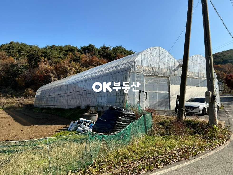충남 아산시 송악면 강장리 비닐하우스 시설 완비된 아산토지매매 송악면 토지매매 매매 매물번호 17414 사진 3