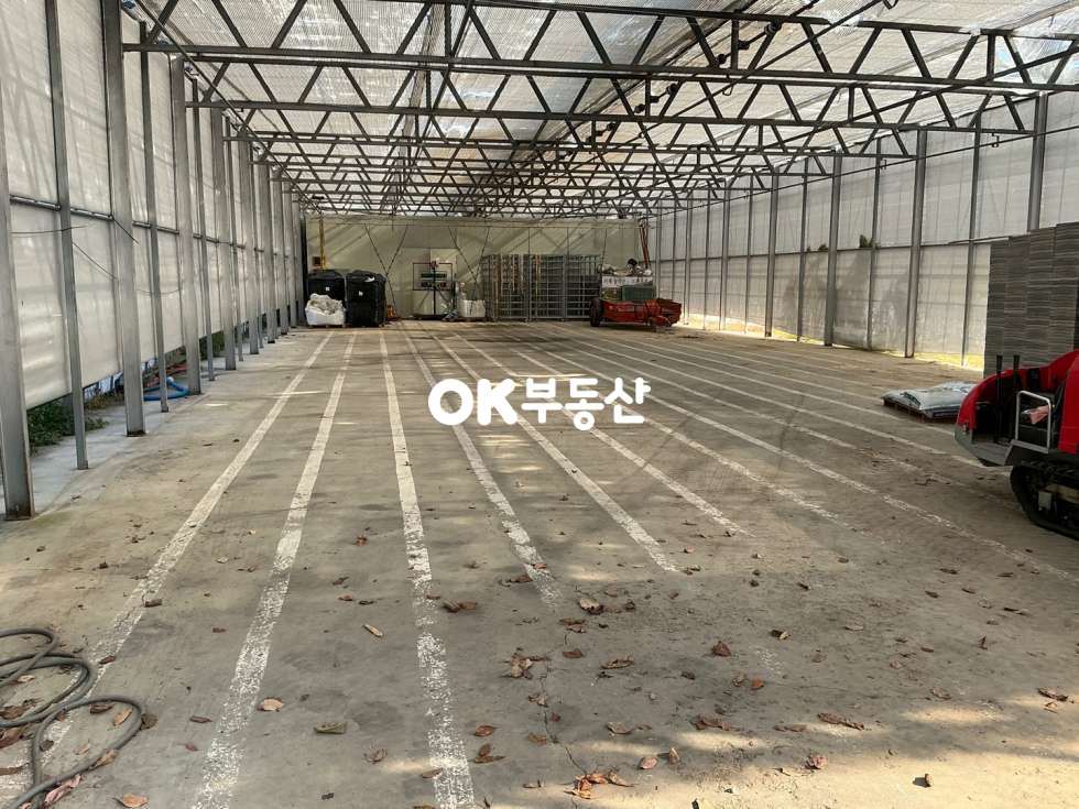 충남 아산시 송악면 강장리 비닐하우스 시설 완비된 아산토지매매 송악면 토지매매 매매 매물번호 17414 사진 4