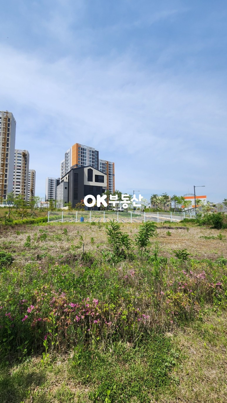 충남 천안서북구 부대동 천안토지매매 부대동토지매매 (대지 144평 제1종일반주거지역) 매매 매물번호 15531 사진 5