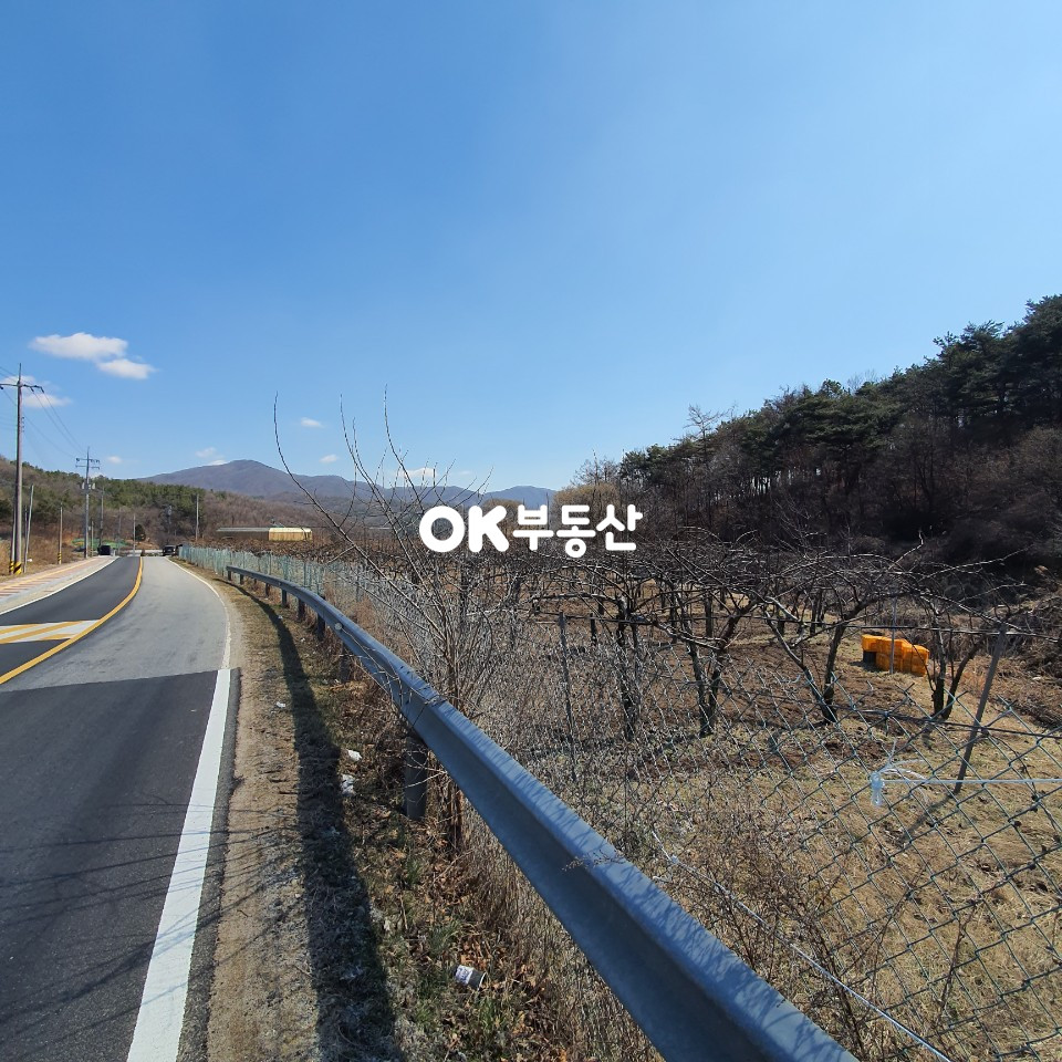 충남 천안동남구 목천읍 덕전리 2차선 도로변] 2필지 총 1068평! 천안토지매매 목천읍토지매매 매매 매물번호 11582 사진 6