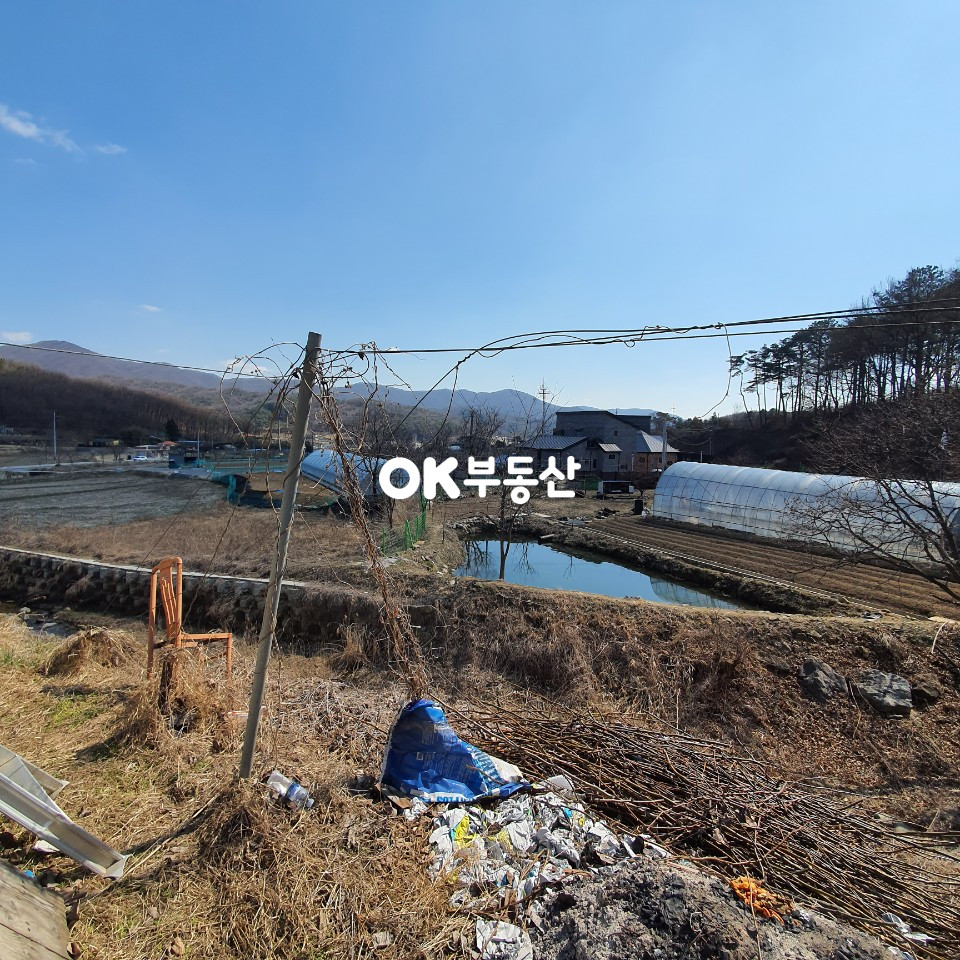 충남 천안동남구 목천읍 덕전리 2차선 도로변] 2필지 총 1068평! 천안토지매매 목천읍토지매매 매매 매물번호 11582 사진 7
