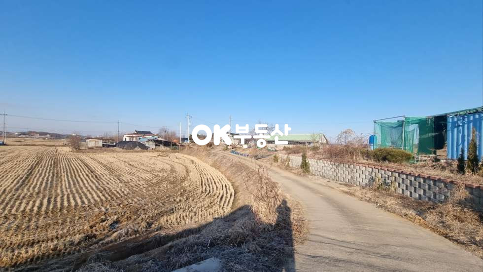 충남 아산시 둔포면 신법리 전원주택건축가능한 농림지역 (모내기전 급매물건) 매매 매물번호 17448 사진 3