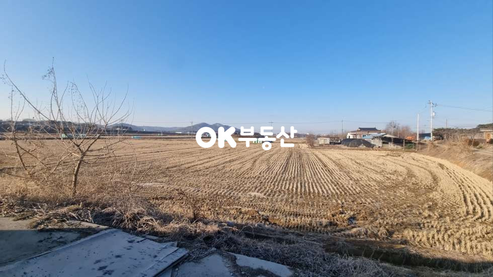 충남 아산시 둔포면 신법리 전원주택건축가능한 농림지역 (모내기전 급매물건) 매매 매물번호 17448 사진 4