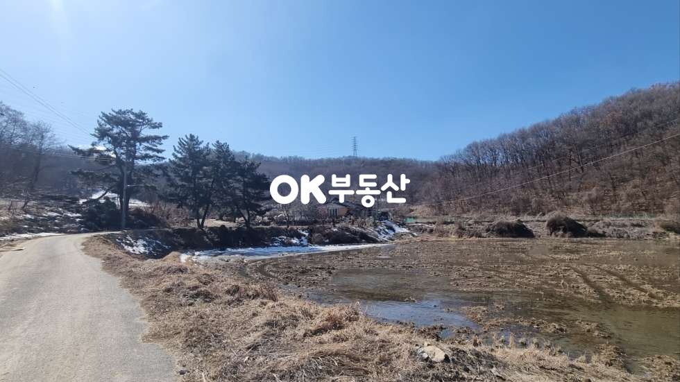 충남 아산시 둔포면 신항리 아산둔포 전원주택. 가든 및 펜션 적극추천★저렴한 계획관리지역 매매 매물번호 17450 사진 2
