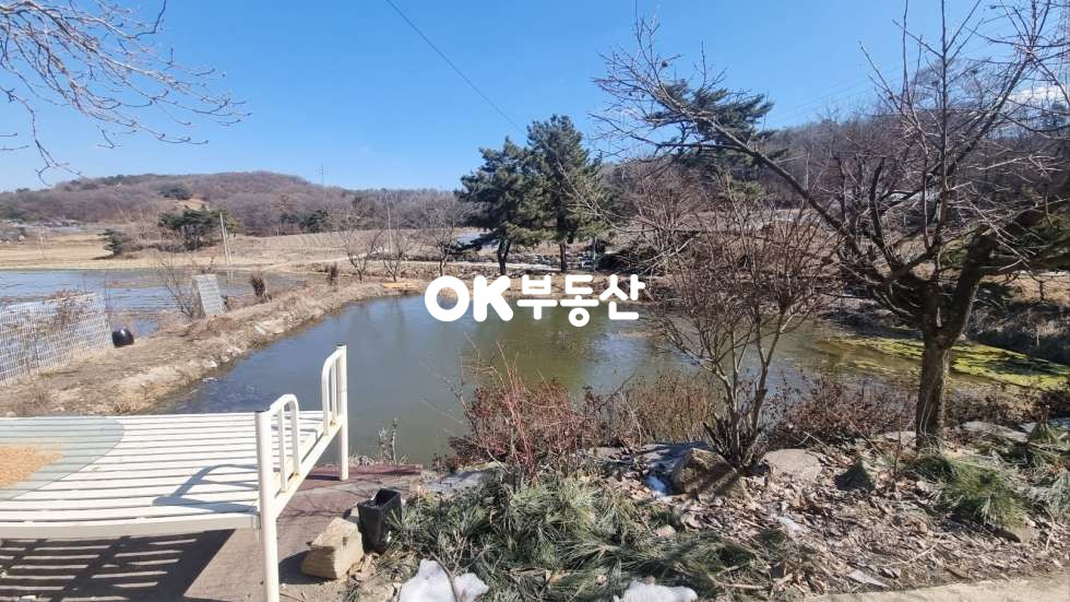 충남 아산시 둔포면 신항리 아산둔포 전원주택. 가든 및 펜션 적극추천★저렴한 계획관리지역 매매 매물번호 17450 사진 4