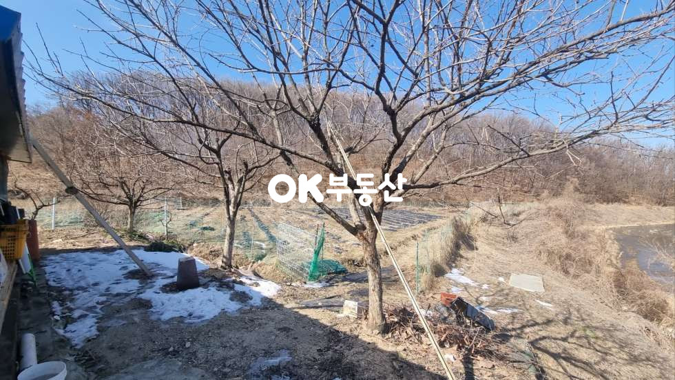 충남 아산시 둔포면 신항리 아산둔포 전원주택. 가든 및 펜션 적극추천★저렴한 계획관리지역 매매 매물번호 17450 사진 6