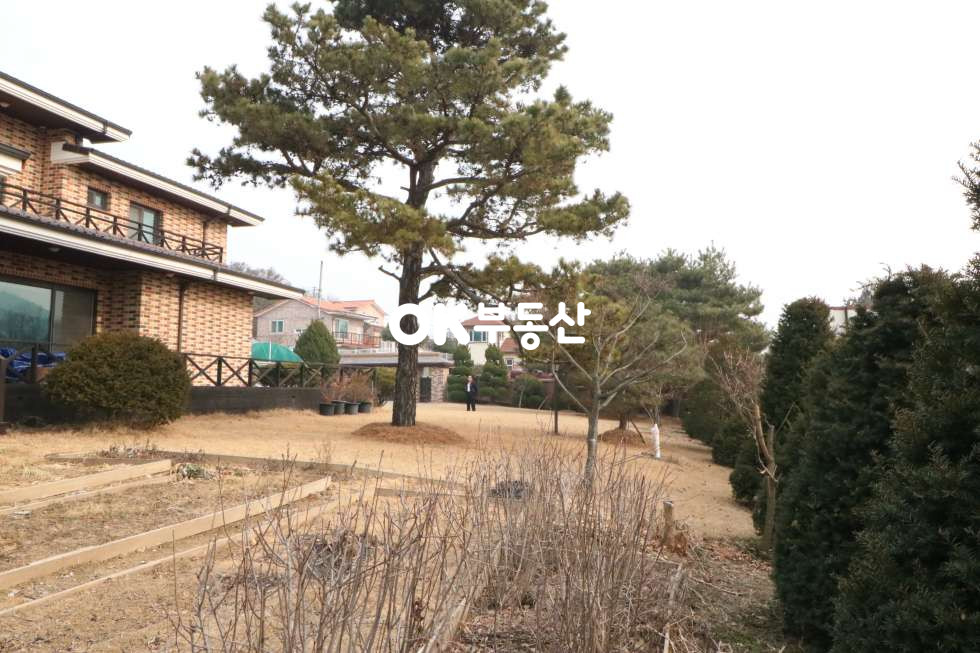 충남 천안동남구 목천읍 운전리 고급전원주택매매 천안전원주택매매 대지:420평 건물:59평 매매 매물번호 10773 사진 6