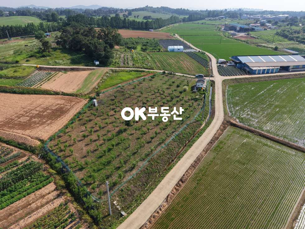 충남 천안서북구 성환읍 신가리 부동산투자 토지투자매물 매매 매물번호 17599 사진 1