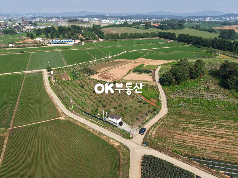 충남 천안서북구 성환읍 신가리 부동산투자 토지투자매물 매매 매물번호 17599 사진 3