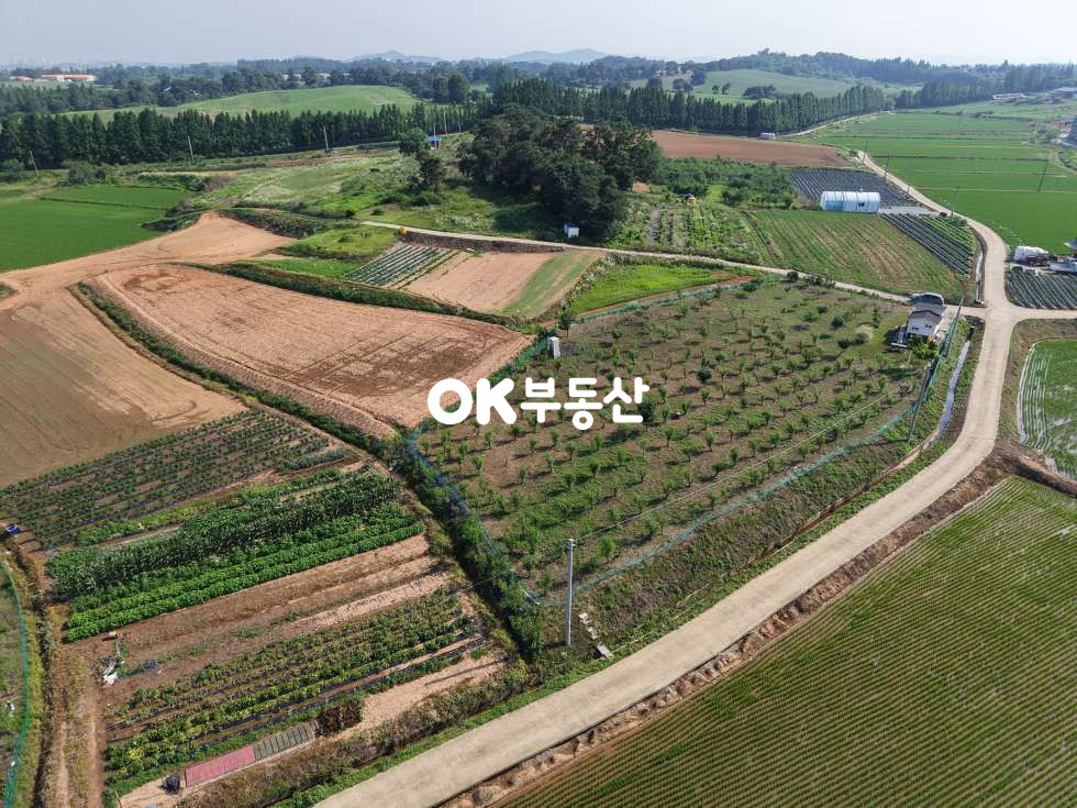 충남 천안서북구 성환읍 신가리 부동산투자 토지투자매물 매매 매물번호 17599 사진 4