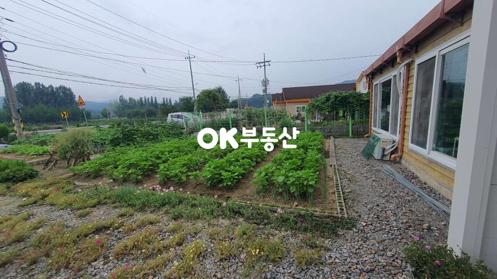 충북 진천군 진천읍 장관리 진천 단독주택☆텃밭과 마당이 있는 힐링하우스☆ 매매 매물번호 17666 사진 3