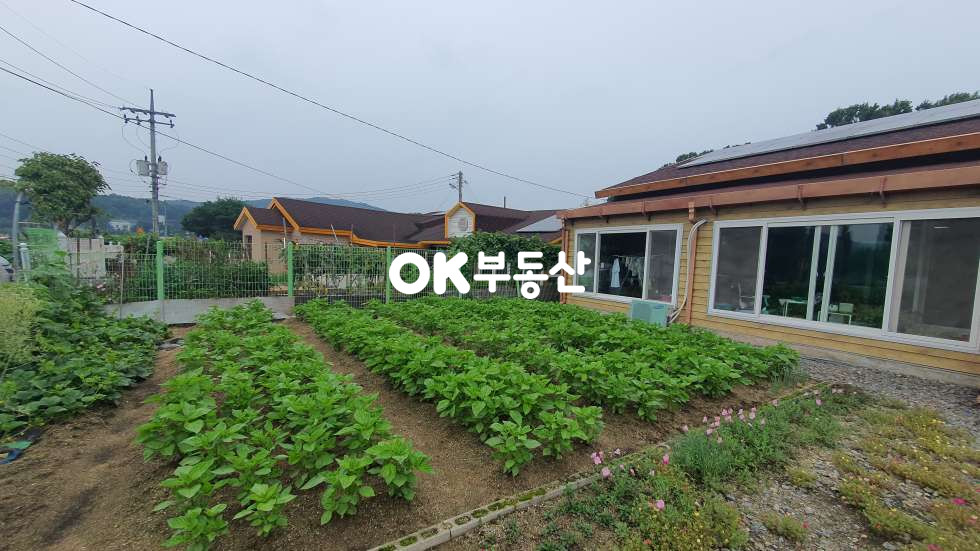 충북 진천군 진천읍 장관리 진천 단독주택☆텃밭과 마당이 있는 힐링하우스☆ 매매 매물번호 17666 사진 4
