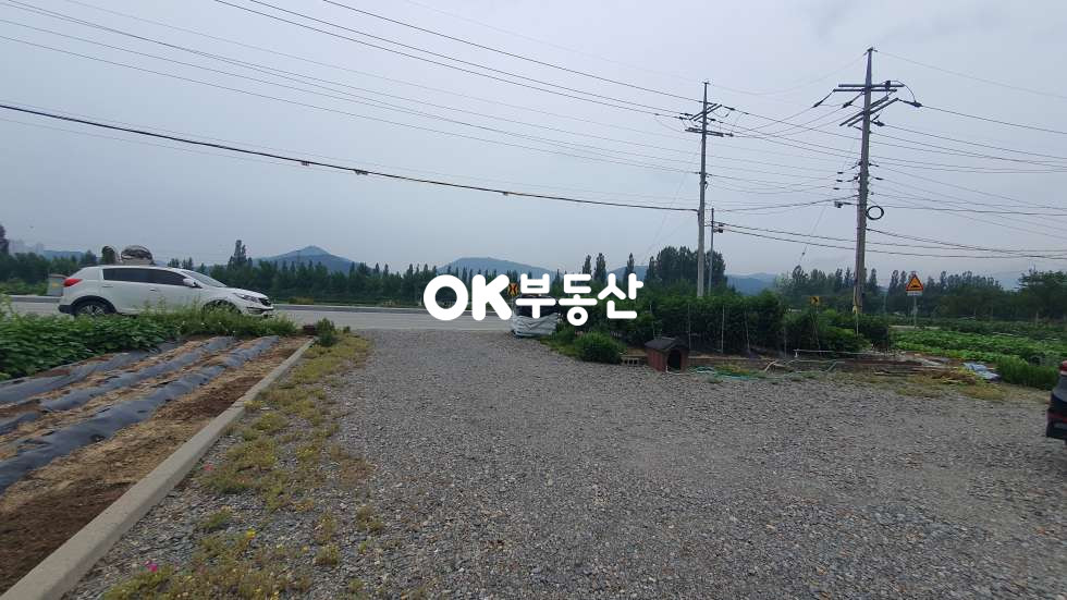 충북 진천군 진천읍 장관리 진천 단독주택☆텃밭과 마당이 있는 힐링하우스☆ 매매 매물번호 17666 사진 17