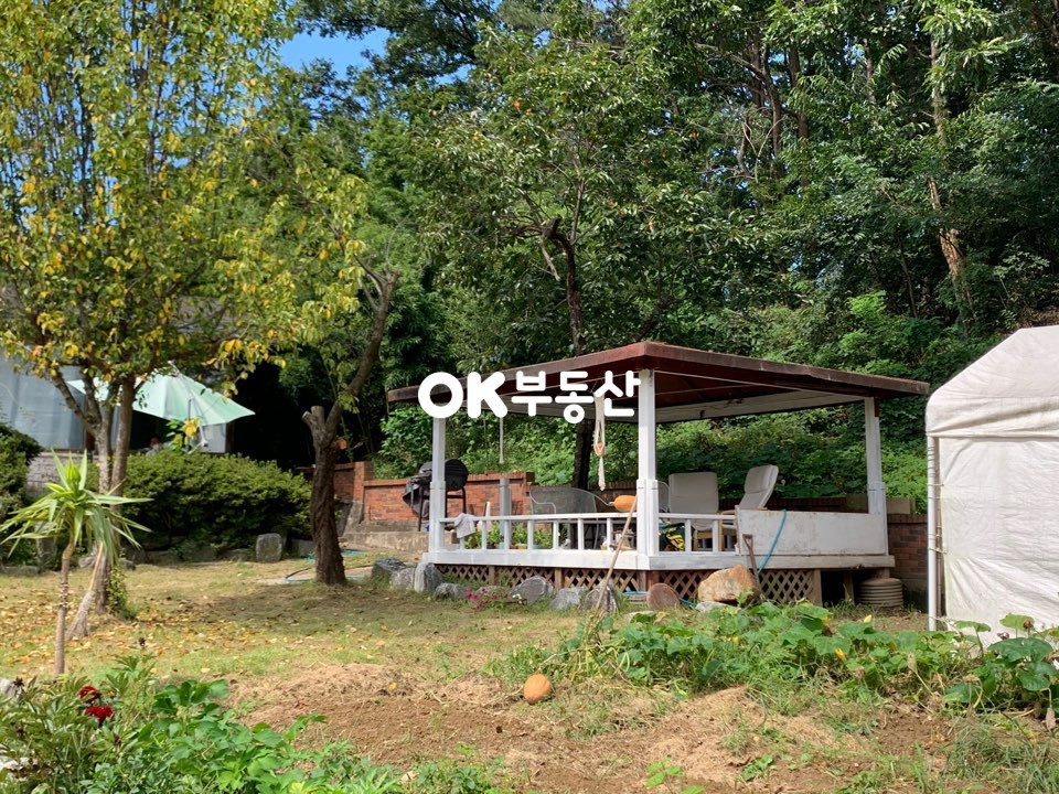 충남 천안동남구 풍세면 풍서리 천안 동남구 풍세면 단독주택매매(대지223평/건축32평)2억8천매매 매매 매물번호 12512 사진 12