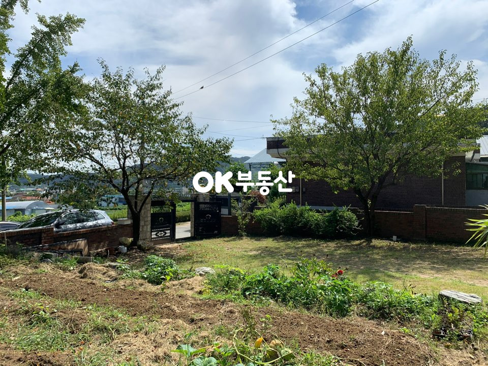 충남 천안동남구 풍세면 풍서리 천안 동남구 풍세면 단독주택매매(대지223평/건축32평)2억8천매매 매매 매물번호 12512 사진 15