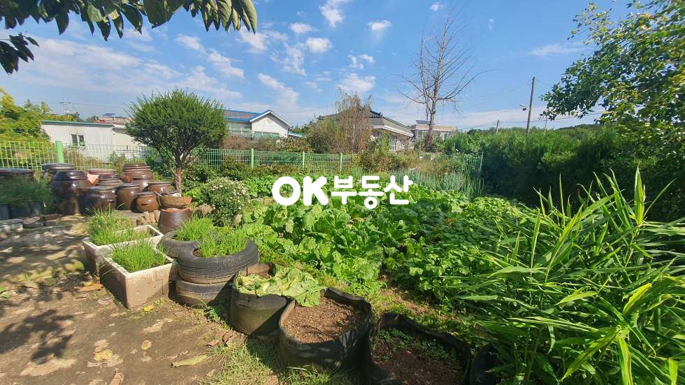 충남 아산시 영인면 신운리 아산시 영인면 전원주택 매매☆텃밭 있는 조용한 시골생활☆2필지로 주택 바로 앞 도로 와 주차장까지 매매 매물번호 17783 사진 3