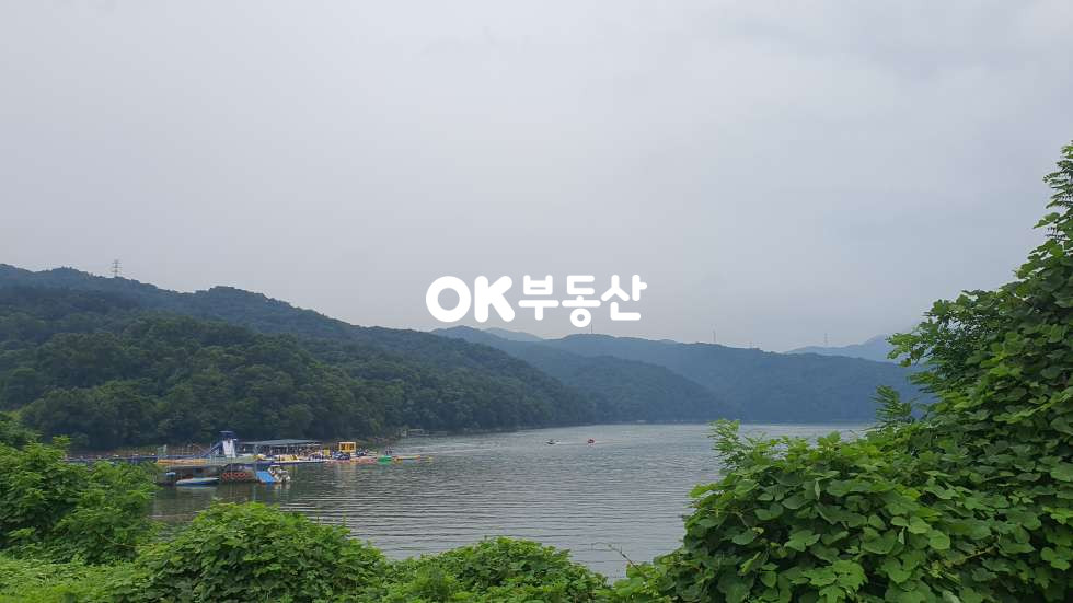 충북 진천군 진천읍 건송리 진천군 백곡지 호수뷰 고급단독주택☆호수를 둘러싼 산책로~ 벽난로☆ 매매 매물번호 17667 사진 39