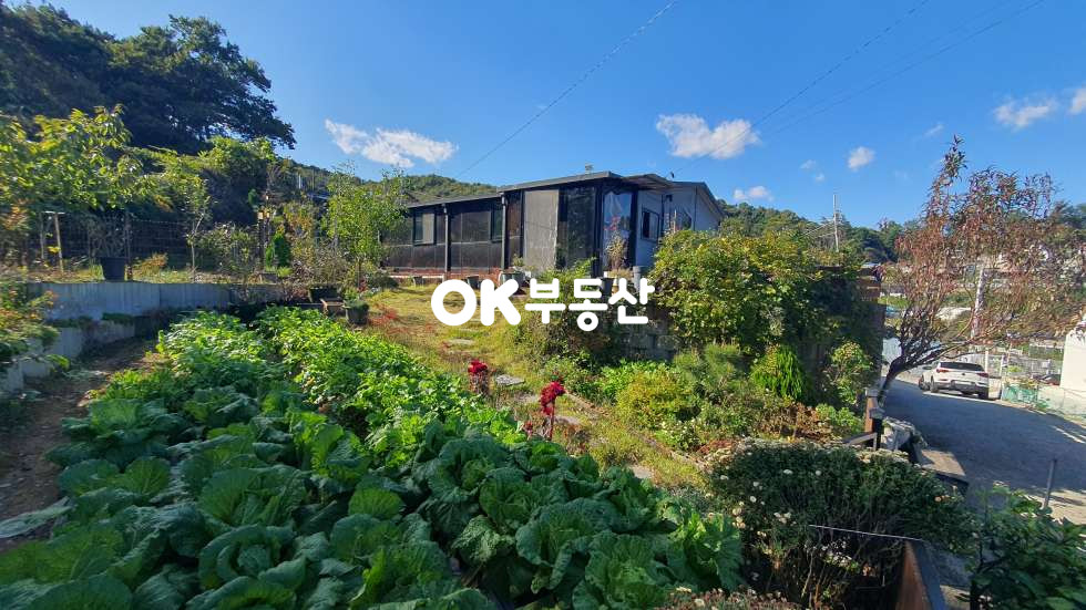 충남 천안동남구 풍세면 풍서리 천안 풍세면 텃밭 있는 전원주택☆단독주택 + 제1종근린생활시설☆산들바람 뷰 맛집!! 매매 매물번호 17810 사진 2
