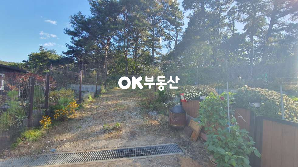 충남 천안동남구 풍세면 풍서리 천안 풍세면 텃밭 있는 전원주택☆단독주택 + 제1종근린생활시설☆산들바람 뷰 맛집!! 매매 매물번호 17810 사진 22
