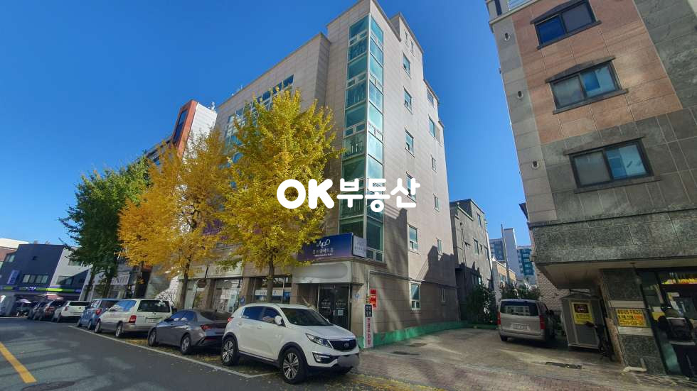 충남 천안서북구 쌍용동 천안 쌍용역 인접 초급매 건물매매 매매 매물번호 17862 사진 1