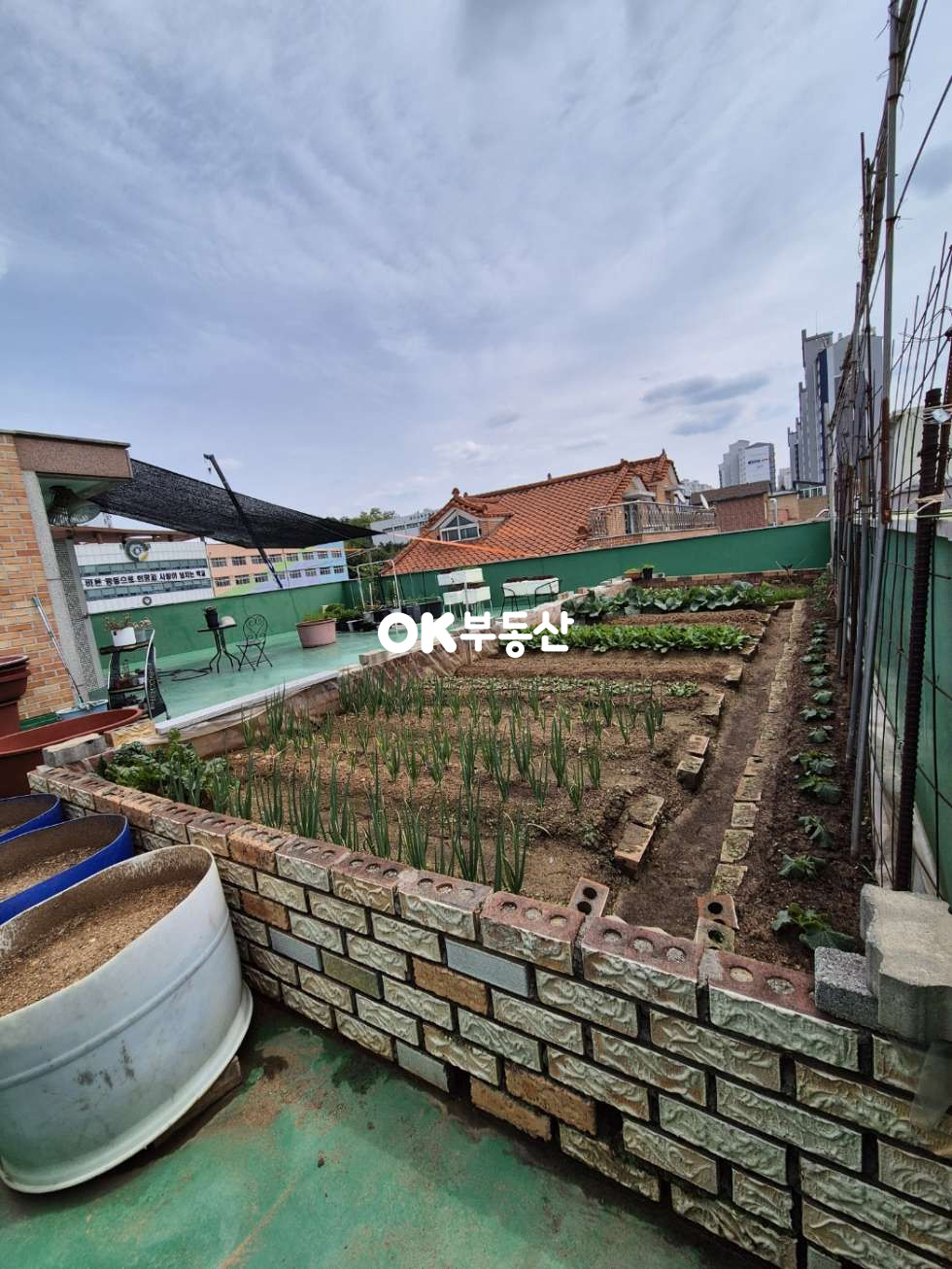 충남 천안서북구 불당동 천안상가주택매매 불당동 상가주택매매 초중고를 품은 불당동 상가주택매매 매매 매물번호 17543 사진 9