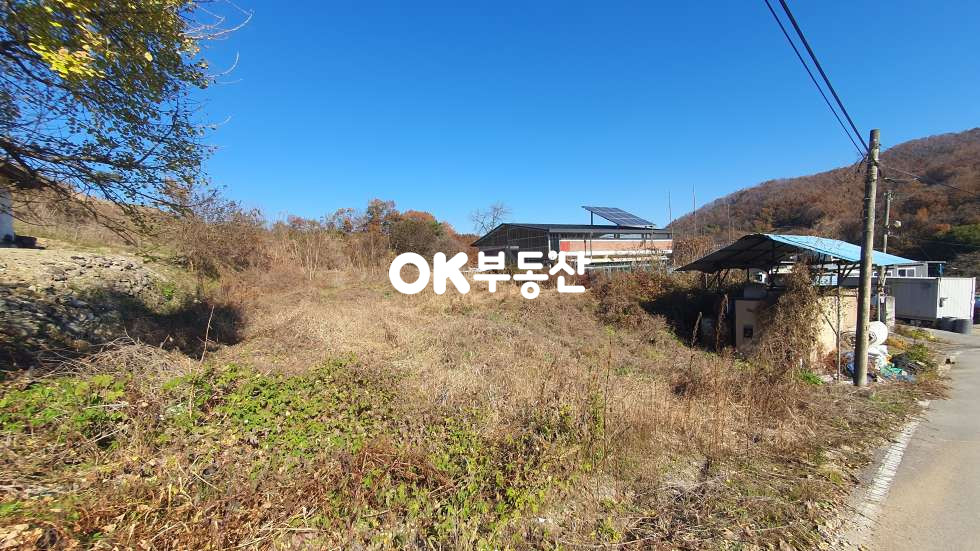 충남 천안동남구 성남면 대정리 천안 성남면 도로접한 대지매매☆남향 전원주택지 매매☆ 매매 매물번호 17880 사진 1