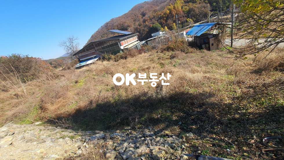 충남 천안동남구 성남면 대정리 천안 성남면 도로접한 대지매매☆남향 전원주택지 매매☆ 매매 매물번호 17880 사진 3