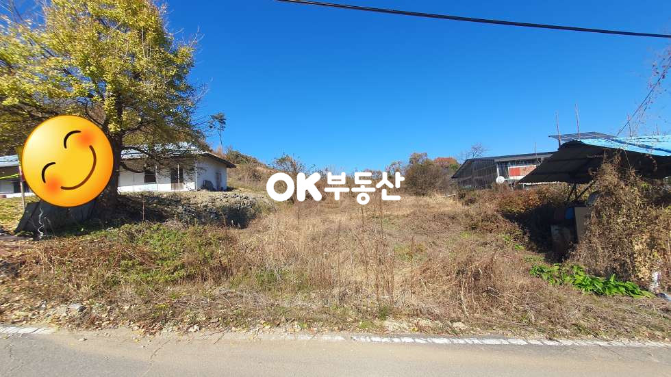 충남 천안동남구 성남면 대정리 천안 성남면 도로접한 대지매매☆남향 전원주택지 매매☆ 매매 매물번호 17880 사진 4