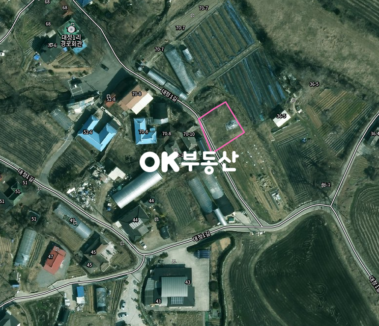 충남 천안동남구 성남면 대정리 도로접한 주택지 매매★물맑은 마을 ★ 매매 매물번호 17887 사진 1