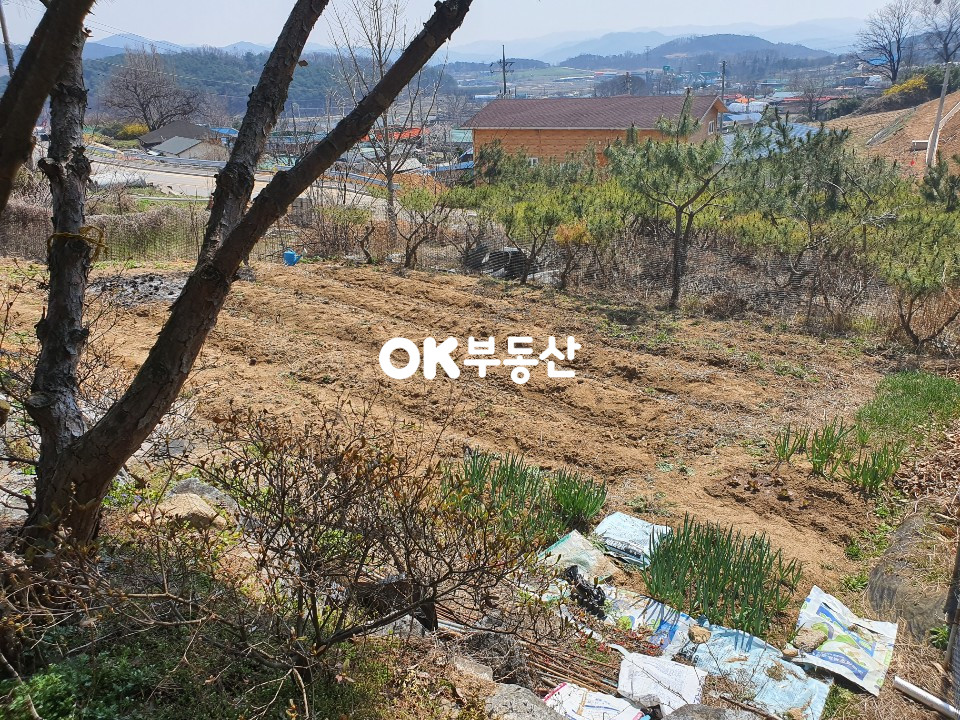 경기 안성시 보개면 기좌리 안성시 보개면 단독주택 매매(추가1필지 195평 포함) 매매 매물번호 11683 사진 29