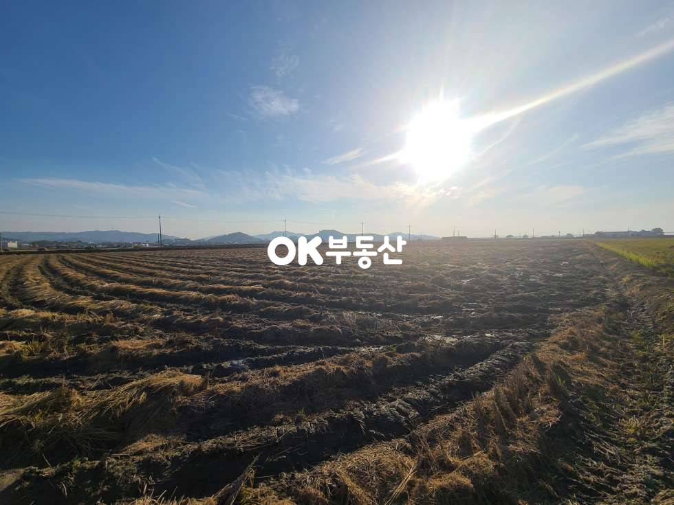 충남 아산시 영인면 창용리 ❤️평당20만❤️1000평❤️눈앞에 아산만이 펼쳐진 ~!!❤️ 매매 매물번호 17840 사진 1