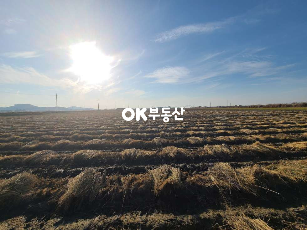 충남 아산시 영인면 창용리 ❤️평당20만❤️1000평❤️눈앞에 아산만이 펼쳐진 ~!!❤️ 매매 매물번호 17840 사진 3
