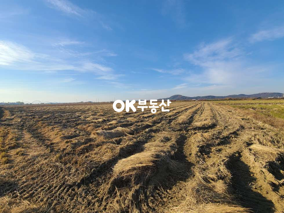 충남 아산시 영인면 창용리 ❤️평당20만❤️1000평❤️눈앞에 아산만이 펼쳐진 ~!!❤️ 매매 매물번호 17840 사진 4